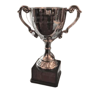 3-trophy-300x300.png